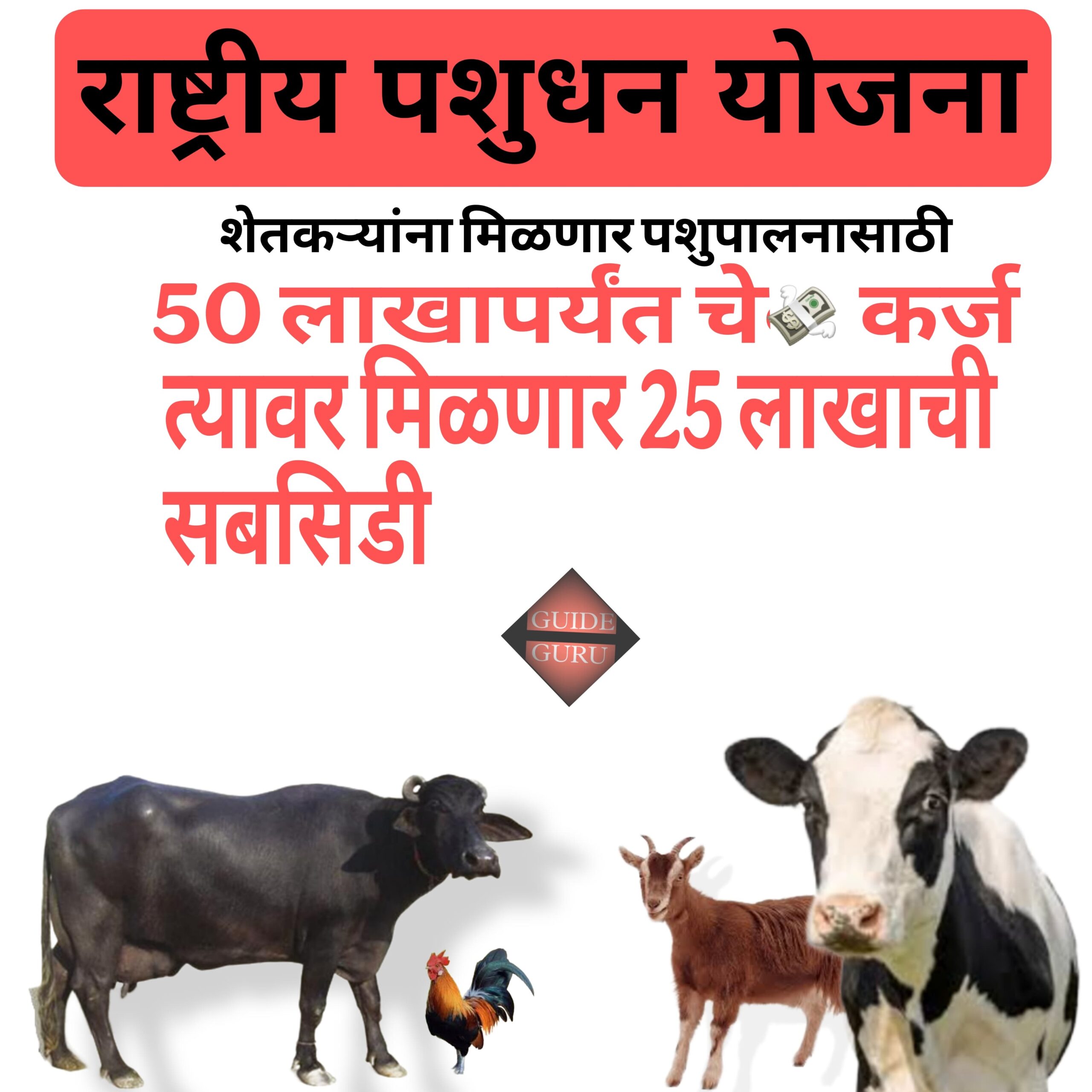 Rashtriy Pashu Dhan Yojana 2025 | राष्ट्रीय पशुधन योजना ( national livestock mission)  | 50 लाख रुपयांचे कर्ज भेटणार त्यावर तुम्हाला 50% सबसिडी म्हणजेच 25 लाख रुपयांची सबसिडी दिली जाईल.